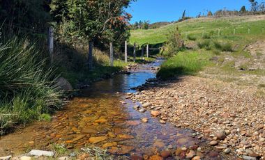 Campo con casa en Caleta Estaquilla – Los Muermos, Región de Los Lagos