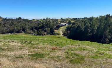 Campo con casa en Caleta Estaquilla – Los Muermos, Región de Los Lagos