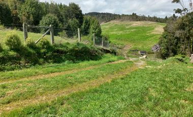 Campo con casa en Caleta Estaquilla – Los Muermos, Región de Los Lagos