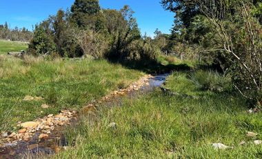 Campo con casa en Caleta Estaquilla – Los Muermos, Región de Los Lagos