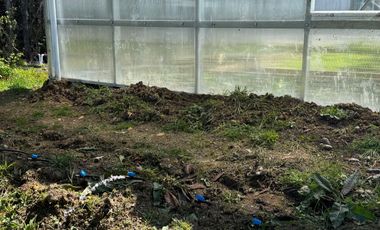 Campo con casa en Caleta Estaquilla – Los Muermos, Región de Los Lagos