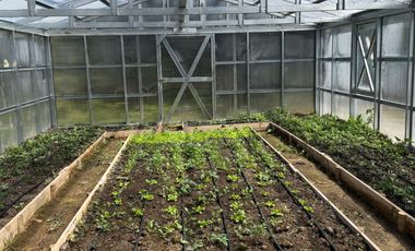 Campo con casa en Caleta Estaquilla – Los Muermos, Región de Los Lagos