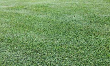 Venta de hermosa parcela con casa en Curacaví