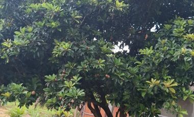 Jual Cepat Villa baru Harga BU di Cianjur jawa barat