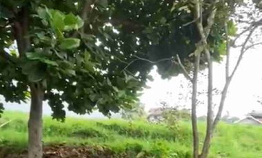 Tanah kavling murah dan acasia raya budi indah bandung