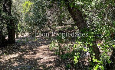 Leon Propiedades vende hermosa parcela con casa en Sector Zapata, Curacaví.