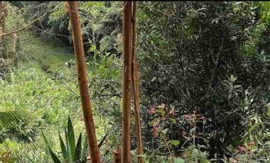 Vendo hermosa casa finca en Guarne, Oriente antioqueño