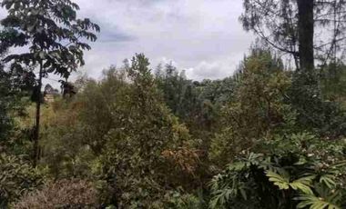 Vendo hermosa casa finca en Guarne, Oriente antioqueño