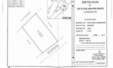 Primelot forSale in Mandaue Cebu 3800sqm near S&r, Parkmall, CDU, SM Cebu, Ayala Gatewalk Mall, Container Port, Parkmall, Mandani Bay, Ideal for HighRise Building, University/Hospital/Logistics/warehouse