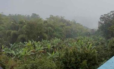 Vendo Casa Campestre en Pereira