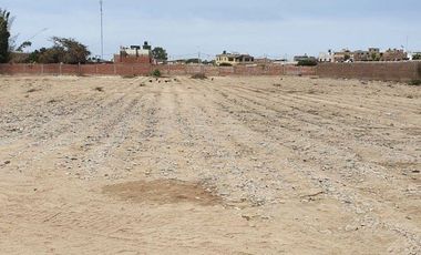 TERRENO EN VENTA 10003 M2 PANAMERICANA NORTE KM 81 – CHANCAY