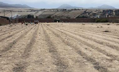 TERRENO EN VENTA 10003 M2 PANAMERICANA NORTE KM 81 – CHANCAY