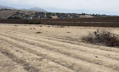 TERRENO EN VENTA 10003 M2 PANAMERICANA NORTE KM 81 – CHANCAY