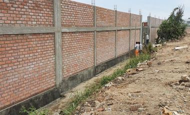 TERRENO EN VENTA 10003 M2 PANAMERICANA NORTE KM 81 – CHANCAY