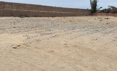 TERRENO EN VENTA 10003 M2 PANAMERICANA NORTE KM 81 – CHANCAY