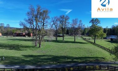 Villarrica Condominio Canto del Estero venta 2 parcelas 5.000m2 cada una COD.VTAP243