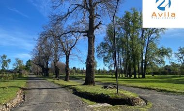 Villarrica Condominio Canto del Estero venta 2 parcelas 5.000m2 cada una COD.VTAP243