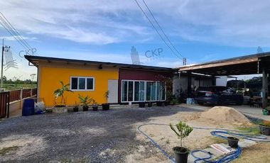 House and land, Baan Suan Mai Ngam Project, Khlong 15, with mixed garden, sprinkler system, have water and electricity.