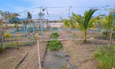 House and land, Baan Suan Mai Ngam Project, Khlong 15, with mixed garden, sprinkler system, have water and electricity.