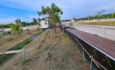 House and land, Baan Suan Mai Ngam Project, Khlong 15, with mixed garden, sprinkler system, have water and electricity.