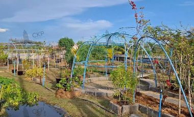 House and land, Baan Suan Mai Ngam Project, Khlong 15, with mixed garden, sprinkler system, have water and electricity.
