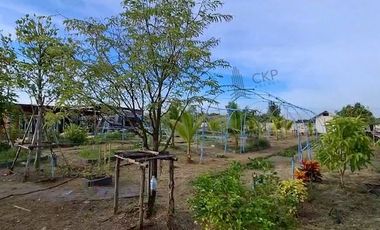 House and land, Baan Suan Mai Ngam Project, Khlong 15, with mixed garden, sprinkler system, have water and electricity.