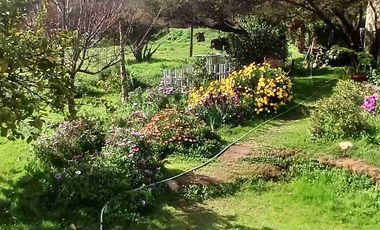 Oprotunidad! Amplia casa en Parcela, Curacavi