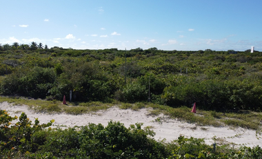 Terreno en venta, 3era. Fila, vista al norte en San Benito, Yucatan