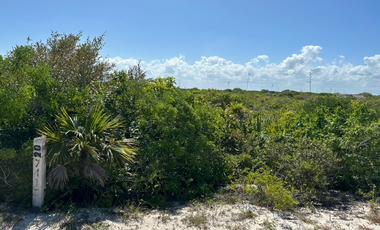 Terreno en venta, 3era. Fila, vista al norte en San Benito, Yucatan