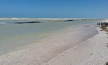 Terreno en venta, 3era. Fila, vista al norte en San Benito, Yucatan