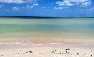 Terreno en venta, 3era. Fila, vista al norte en San Benito, Yucatan