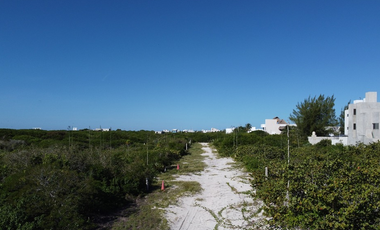 Terreno en venta, 3era. Fila, vista al norte en San Benito, Yucatan