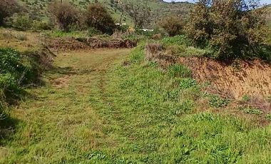 Hermosa parcela en venta, Curacaví