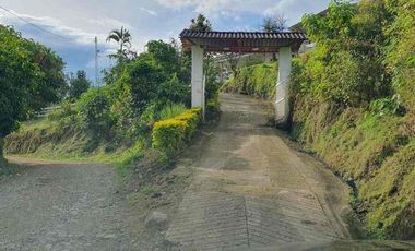 fina de 40.000m2 en la vereda Planadas a 15 mins de pereira