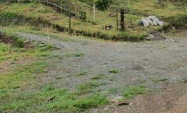 fina de 40.000m2 en la vereda Planadas a 15 mins de pereira