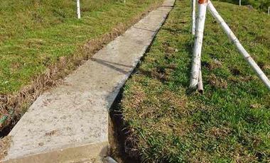 fina de 40.000m2 en la vereda Planadas a 15 mins de pereira