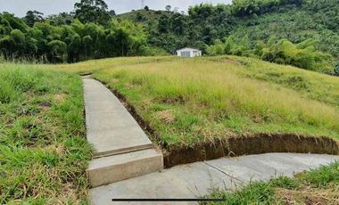 fina de 40.000m2 en la vereda Planadas a 15 mins de pereira