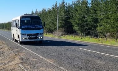 Rematamos Parcelas Planas En Chillan, San Nicolás, Portezuelo