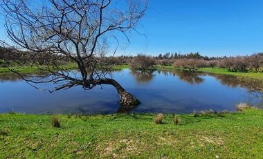 Rematamos Parcelas Planas En Chillan, San Nicolás, Portezuelo
