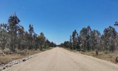Rematamos Parcelas Planas En Chillan, San Nicolás, Portezuelo