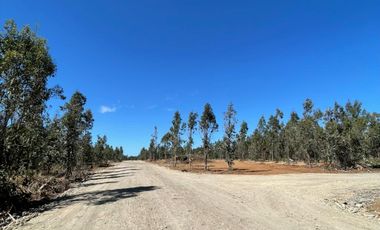 Rematamos Parcelas Planas En Chillan, San Nicolás, Portezuelo