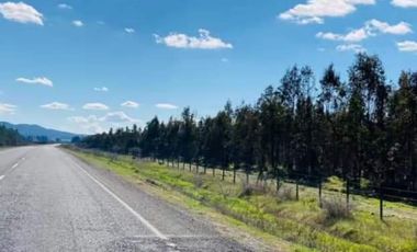 Rematamos Parcelas Planas En Chillan, San Nicolás, Portezuelo
