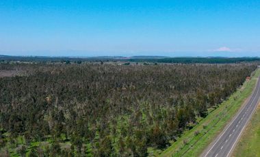 Rematamos Parcelas Planas En Chillan, San Nicolás, Portezuelo