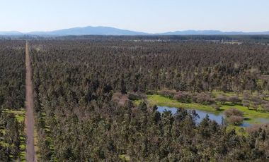 Rematamos Parcelas Planas En Chillan, San Nicolás, Portezuelo