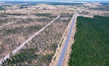 Rematamos Parcelas Planas En Chillan, San Nicolás, Portezuelo