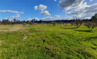 Rematamos Parcelas Planas En Chillan, San Nicolás, Portezuelo