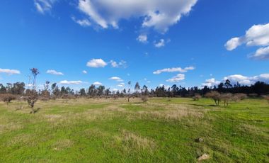 Rematamos Parcelas Planas En Chillan, San Nicolás, Portezuelo