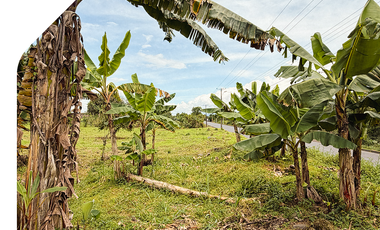 Terreno en Sucúa. Venta de terreno en El Tesoro. Terreno en la Amazonía. Propiedad barata en Sucúa. Propiedades en Morona Santiago.