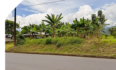 Terreno en Sucúa. Venta de terreno en El Tesoro. Terreno en la Amazonía. Propiedad barata en Sucúa. Propiedades en Morona Santiago.