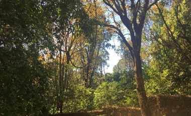 Excelente terreno en fraccionamiento Del Bosque